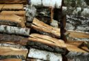 Vojenské lesy a statky mluví o zdražování palivového dřeva. Letos vyrobí 800 tisíc kubíků